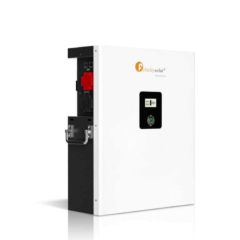 Felicity 5kwh 24/48v Lithium Battery